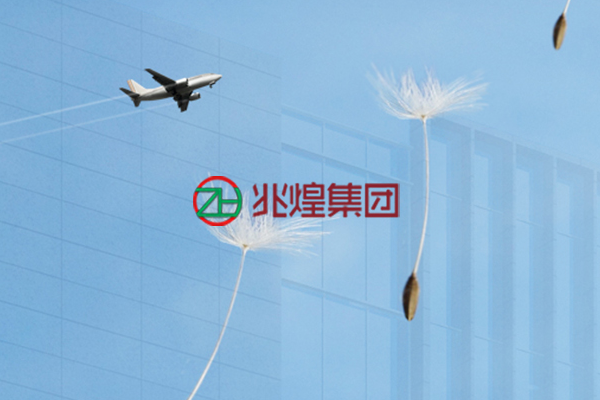 海南兆煌控股集团有限公司