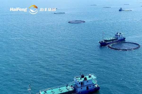 海南海丰养殖发展有限公司