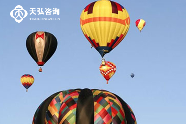 海南天弘伟业咨询有限公司