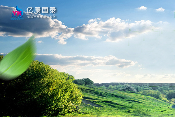 海南亿康国泰实业有限公司